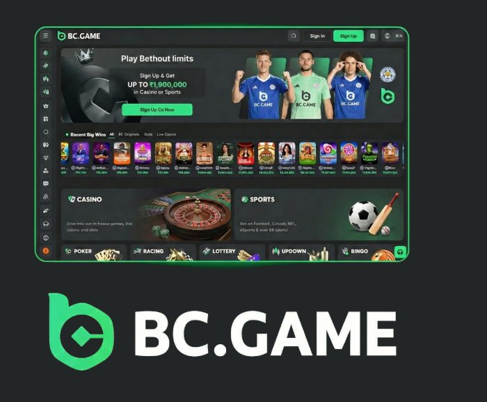 Complete Guide to BC.Game Registration